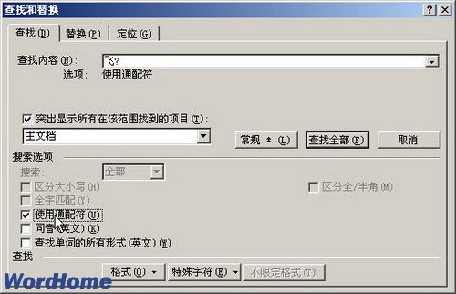 查找和替换对话框