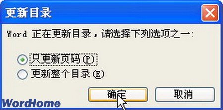 更新Word目录