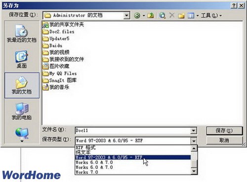 Word 97-3003 & 6.0/95-RTF