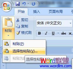 选择性粘贴